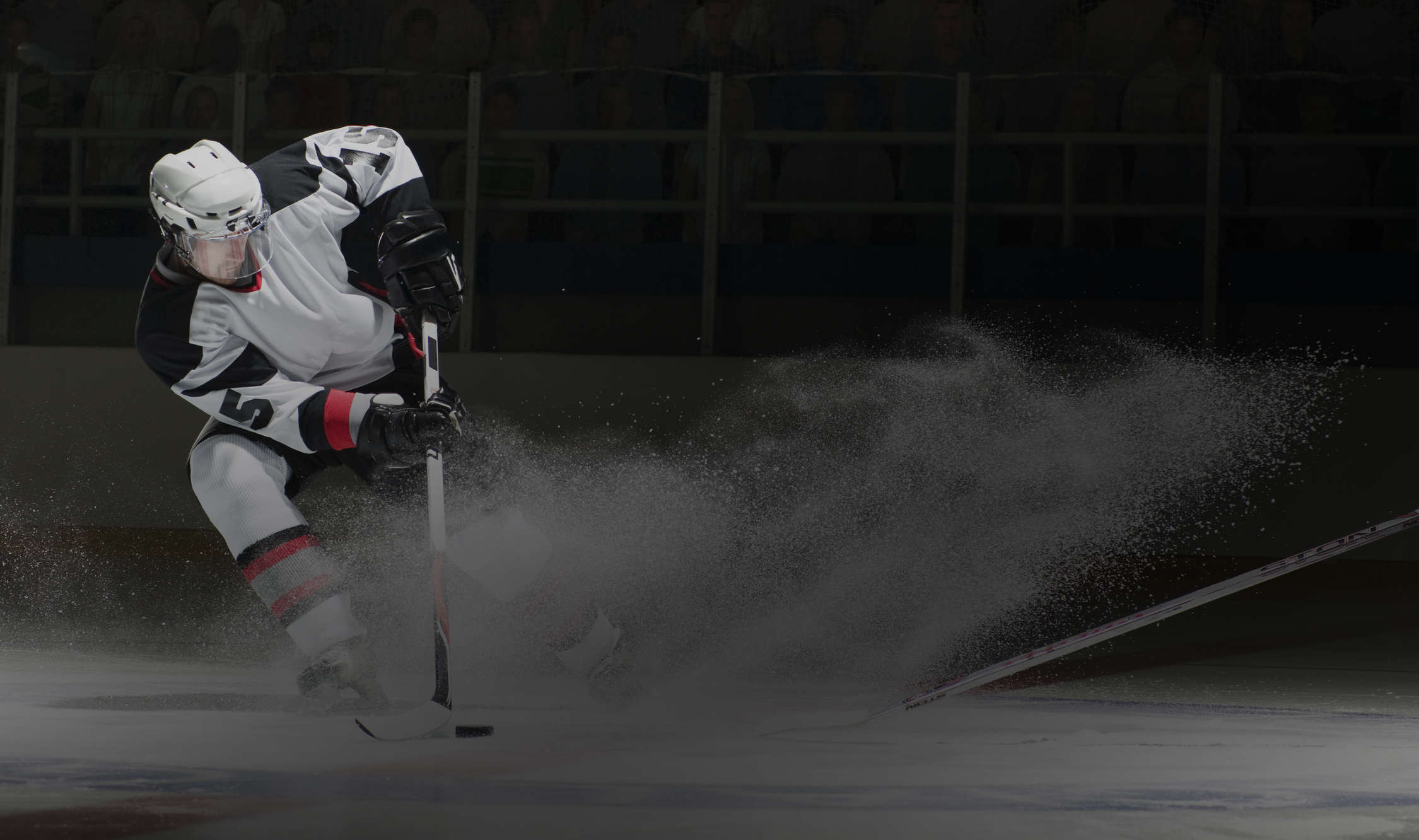 Услуги спортивного юриста 