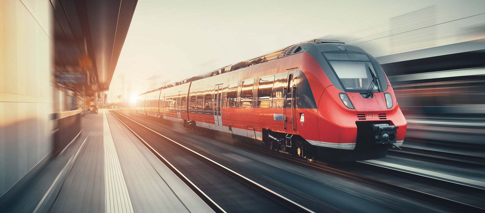 Услуги таможенного юриста 